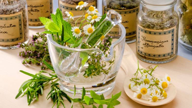 6 Langkah Bedakan Obat Herbal Asli dan Palsu